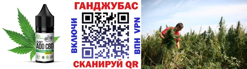 Купить  Ейск  Canna-Cookies конопля 