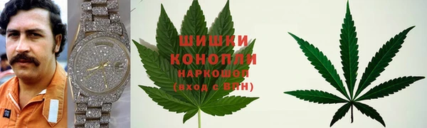 соль ск Касимов