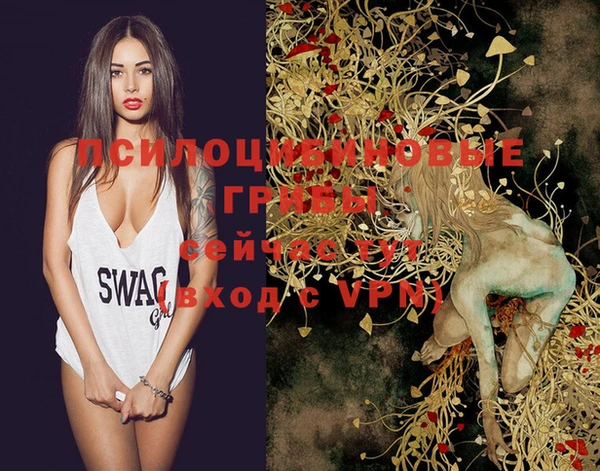 ГАЛЛЮЦИНОГЕННЫЕ ГРИБЫ Кинешма