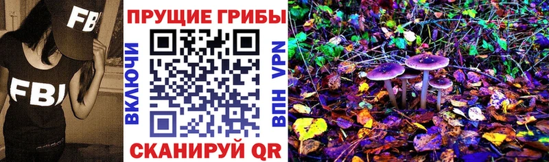 Купить где  Ейск  Псилоцибиновые грибы Magic Shrooms 